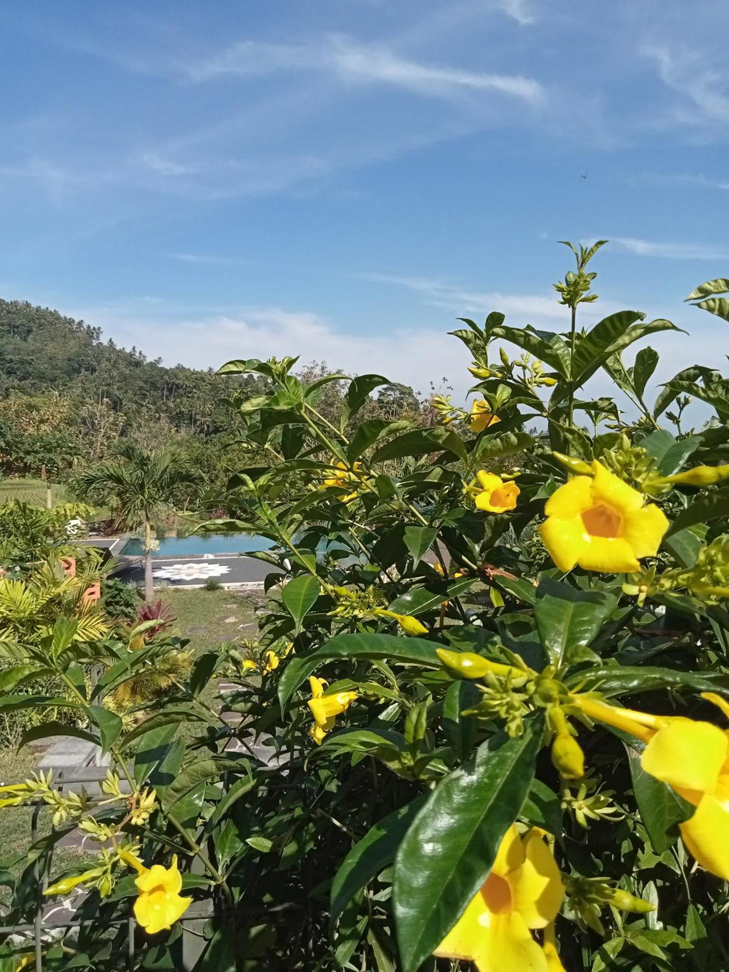 Villa Markisa Pakisan Sawan 外观 照片