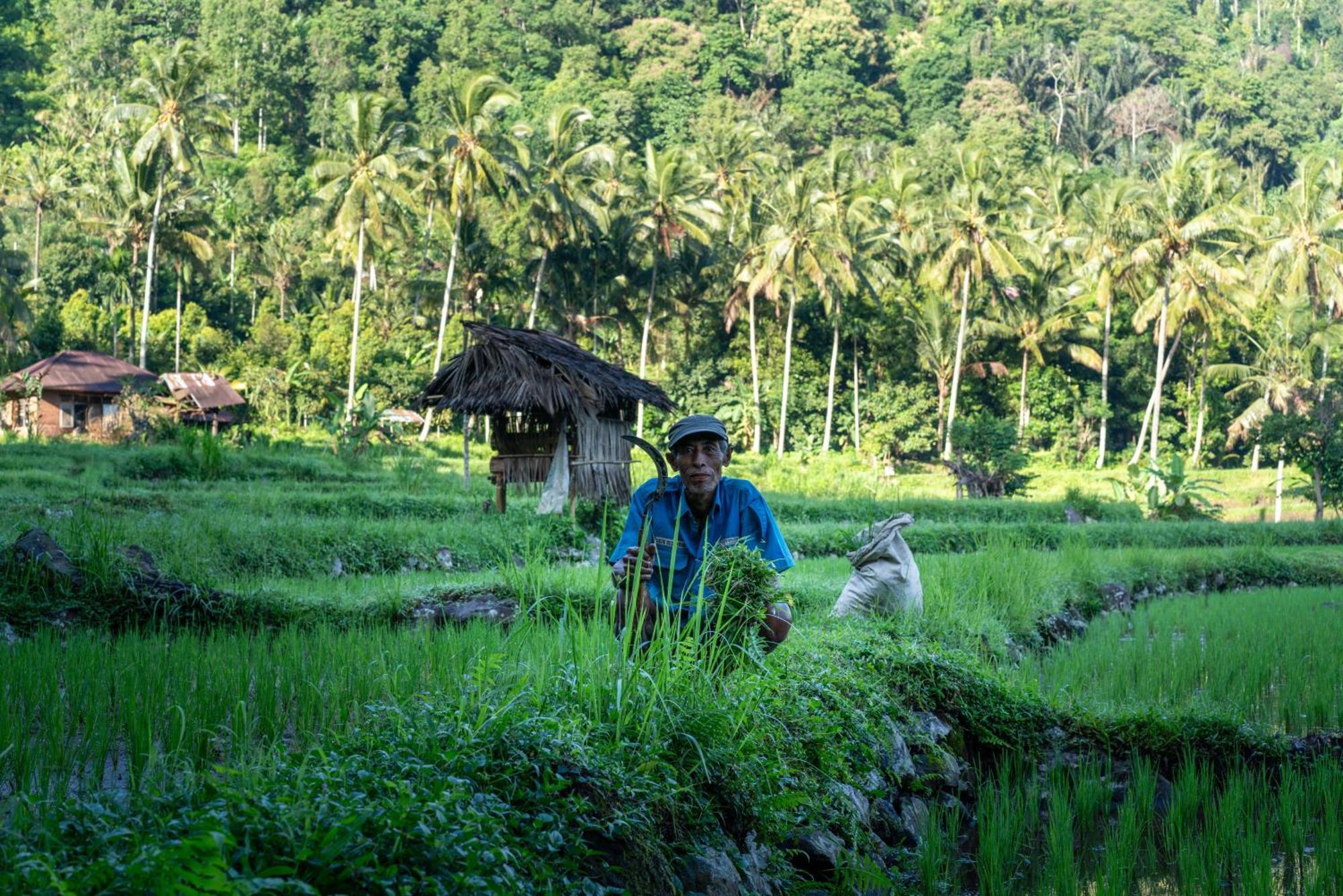 Villa Markisa Pakisan Sawan 外观 照片