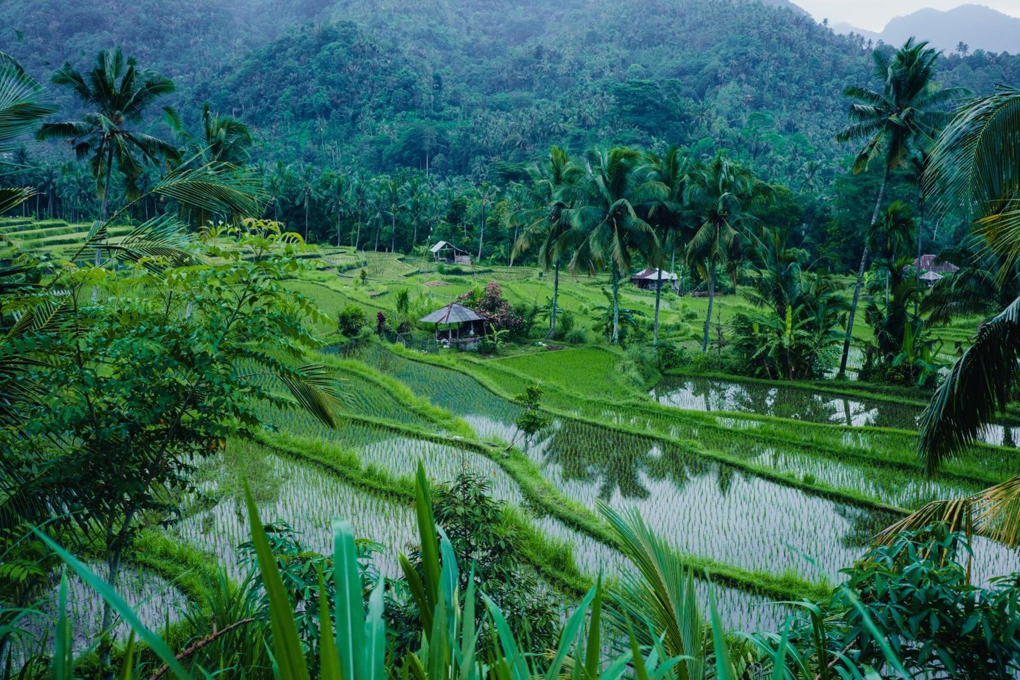 Villa Markisa Pakisan Sawan 外观 照片
