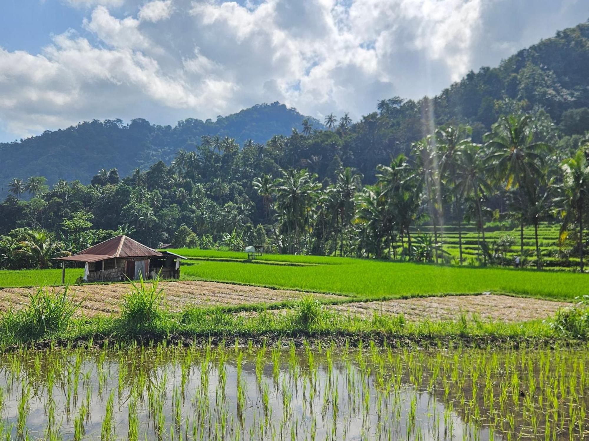 Villa Markisa Pakisan Sawan 外观 照片