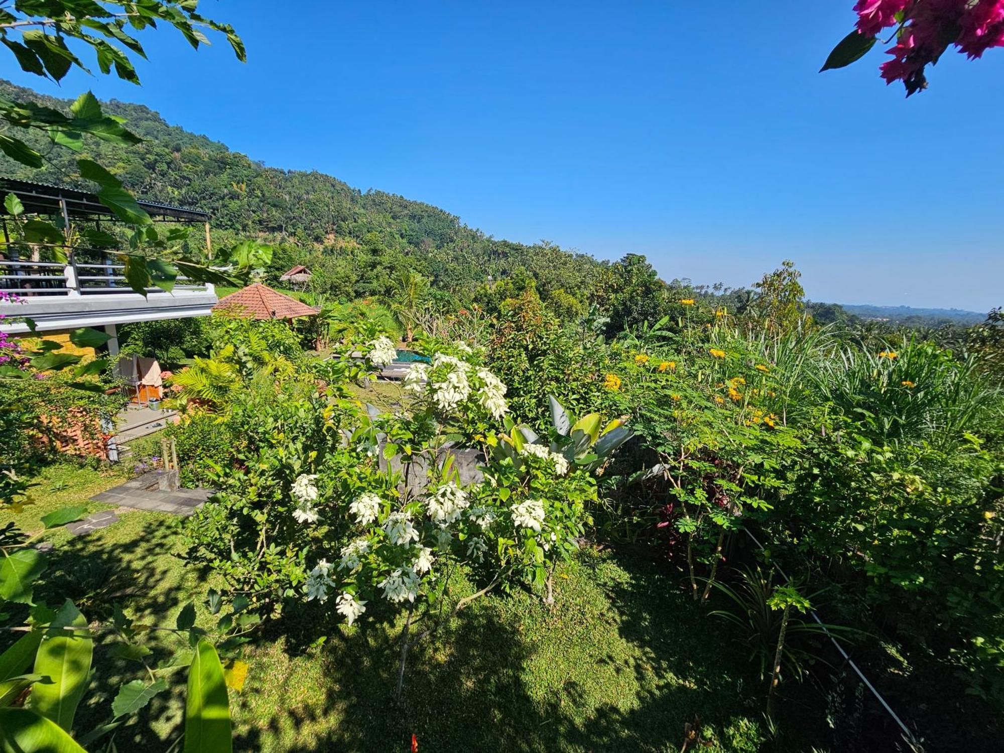 Villa Markisa Pakisan Sawan 外观 照片